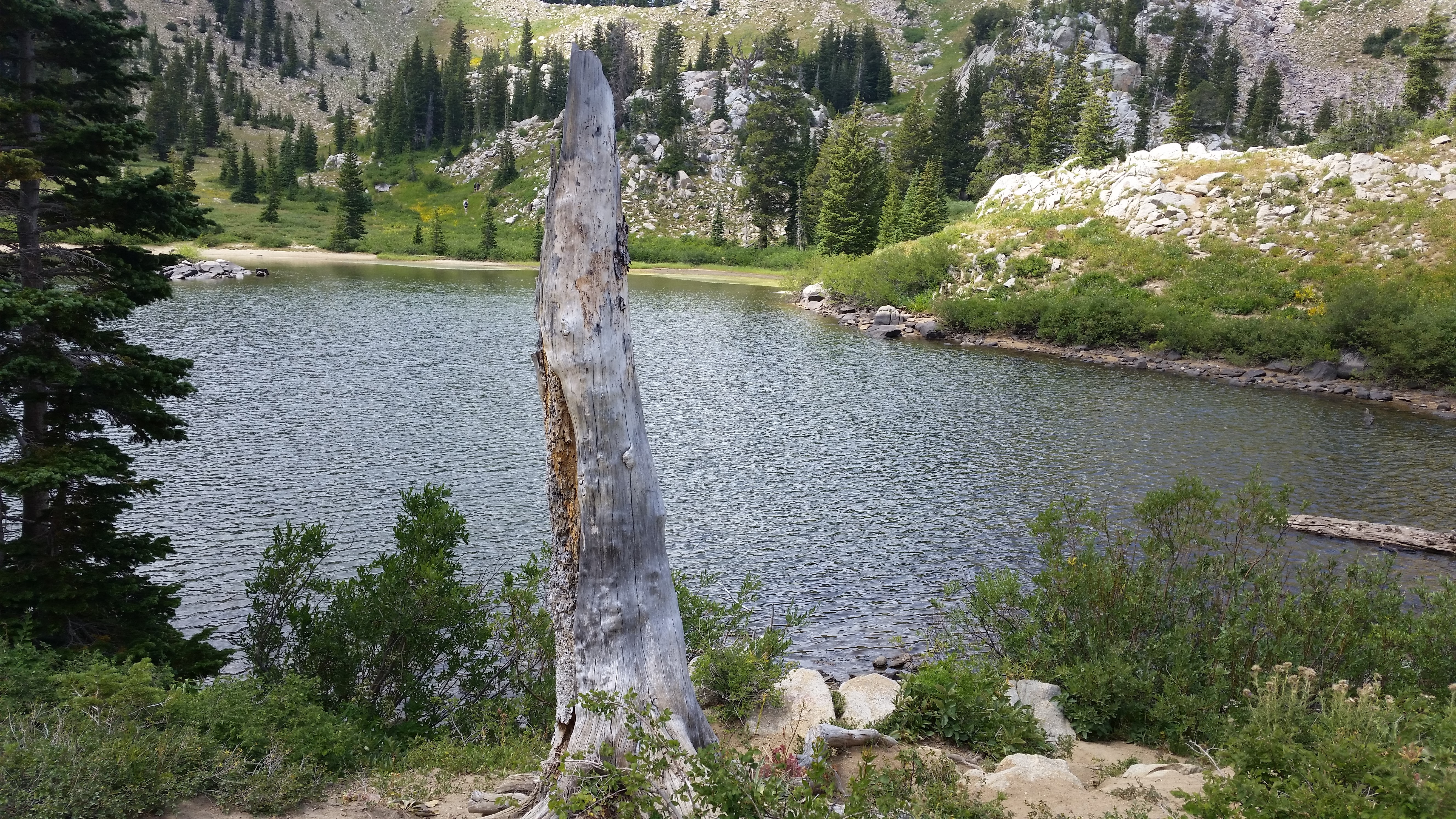 Snowbird – Utah · 2016